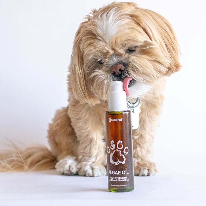 Omega 3 for Dogs, Skin and Coat Supplement for Dogs, Algae Oil, Alternative Fish Oil for Dogs, Allergy and Dog Itch Relief, Dog Anti Shedding Supplement, Dog Dry Skin Treatment, From New Zealand 120ml