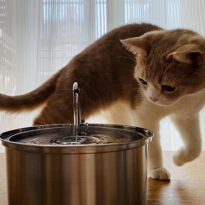 The KittySpout Stainless Steel Cat Water Fountain, 3.2L/108oz