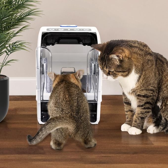 MiBowl Microchip Pet Feeder with Included ID Disc - for Cats and Small Dogs - BPA-Free Bowl and Enclosed Back