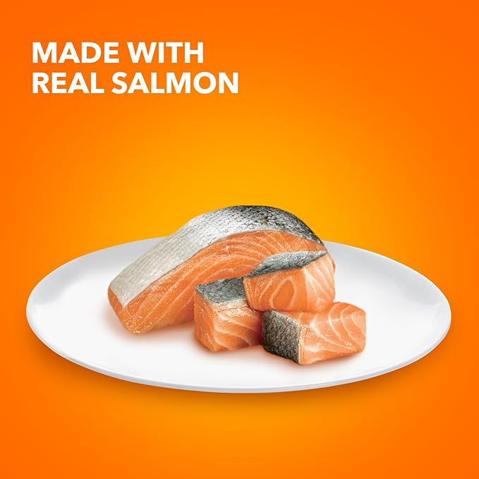IAMS Perfect Portions Healthy Adult Grain Free Wet Cat Food Paté, Salmon Recipe, 2.6 oz. Easy Peel Twin-Pack Trays (24 Count, 48 Servings)