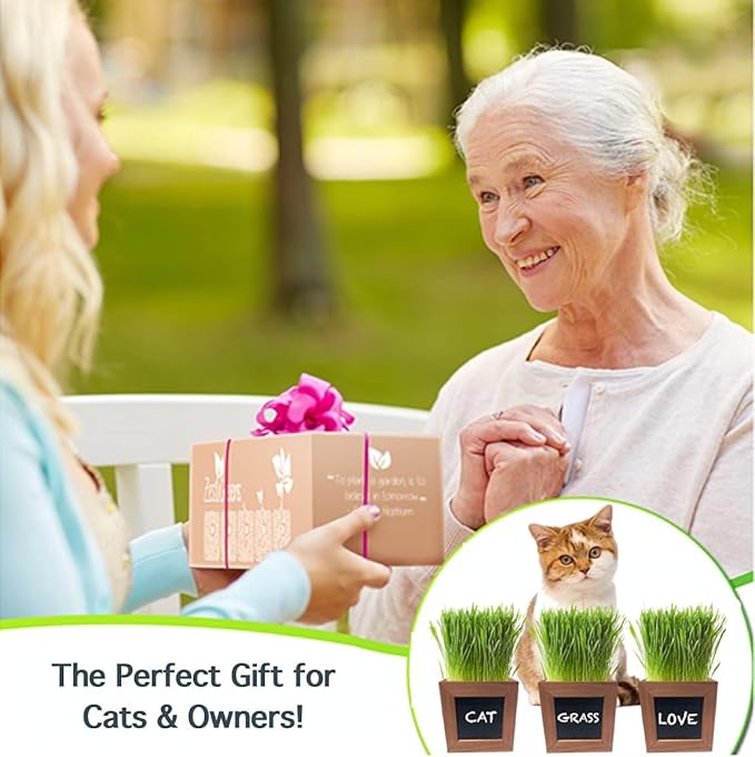 Organic Indoor Cat Grass Kit - 3 Wooden Planters, Certified Seeds, and Premium Soil for Happy Cats. Delight Your Feline Friends with The Ultimate Cat Grass Experience! Ideal Gift for Cat Lovers.