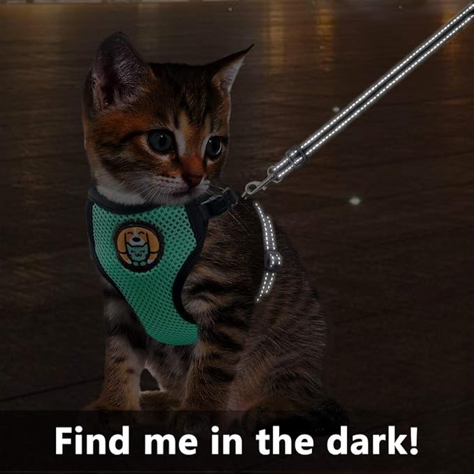 Cat Harness and Leash Escape Proof, Adjustable Cat Kitten Puppy Walking Jacket with Metal Leash Ring, Soft Breathable Small Pet Vest (M)