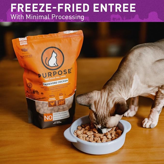 PURPOSE Freeze Dried Raw Cat Food, Grain Free Dry Cat Food, Complete Balanced Meal or Topper, Protein Rich Cat Food for All Breeds and Life Stages, Pure Turkey Recipe Mini Nibs Entrée, 9 oz, USA Made