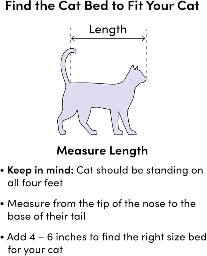 Cat Beds for Indoor Cats - Cat Bed Washable 20 inches, Dog Beds for Small Medium Dogs, Anti Anxiety Round Fluffy Plush Faux Fur Cat Bed, Thick Bottom (Wine, Medium)