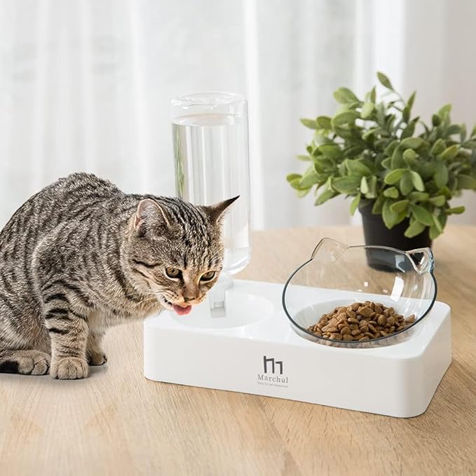 Marchul Tilted Cat Food Bowl with Feeding Mat for Food and Water, Food Feeding Dishes for Raised Cats and Puppies