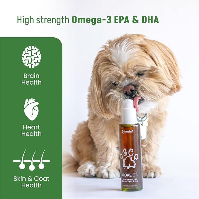 Omega 3 for Dogs, Skin and Coat Supplement for Dogs, Algae Oil, Alternative Fish Oil for Dogs, Allergy and Dog Itch Relief, Dog Anti Shedding Supplement, Dog Dry Skin Treatment, From New Zealand 120ml