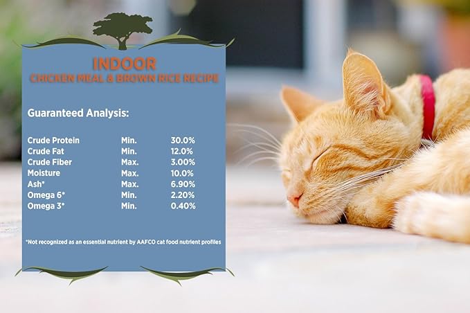 Blackwood Pet Food Indoor Formula Cat Food, Chicken Meal & Brown Rice Recipe 4 lb, 1 Count