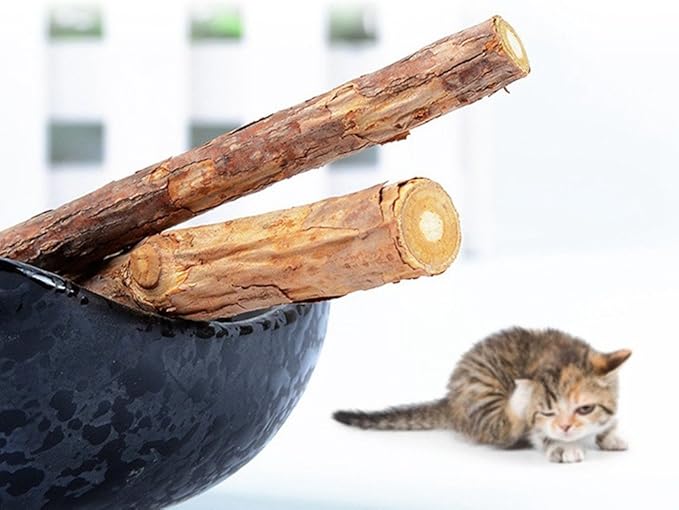 Cat Catnip Sticks Natural Matatabi Silvervine Sticks - Cleaning Teeth Molar Tools Kitten Cat Chew Toy Natural Catnip Mouse Cat Toy (20 PCS)