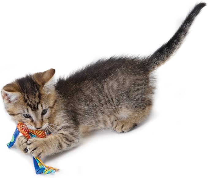 Petstages Dental Health Chews Pair