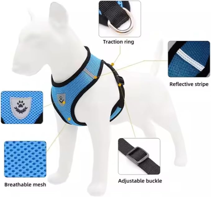 Step-in Dog, Cat, and Puppy Harness and Leash | All Weather Mesh | Reflective Harness & Leash for Small Dogs and Cats (Blue, Large)