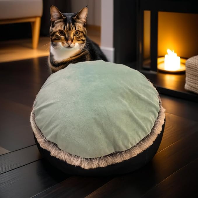 TRYSTYTAILZ Dog Bed Pillowcase | Fluffy Dog & Cat Bed, Luxurious Grey Faux Fur & Cool Mint Velvet for Dogs and Cats All-Season Comfort, Non-Slip Base, Machine Washable, Designed in The UK (XX Small)