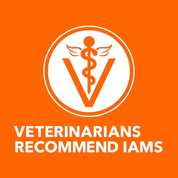 IAMS Perfect Portions Indoor Adult Grain Free Wet Cat Food Paté, Turkey Recipe, 2.6 oz. Easy Peel Twin-Pack Trays (24 Count, 48 Servings)