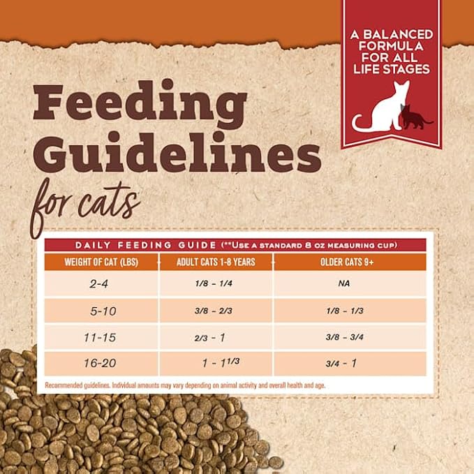 Tender & True Antibiotic-Free Turkey & Brown Rice Recipe Cat Food, 3 Pound(Pack of 1)
