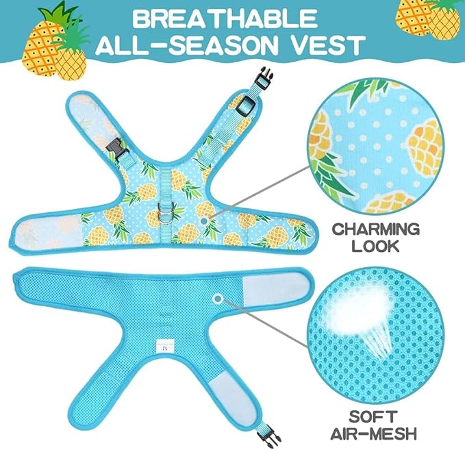 BINGPET Cat Harness - with Leash Included - Mesh Cat Dog Walking Harness Adjustable Harness for Kitties Puppy Harness Adjustable Cat Vest Harness Pineapple