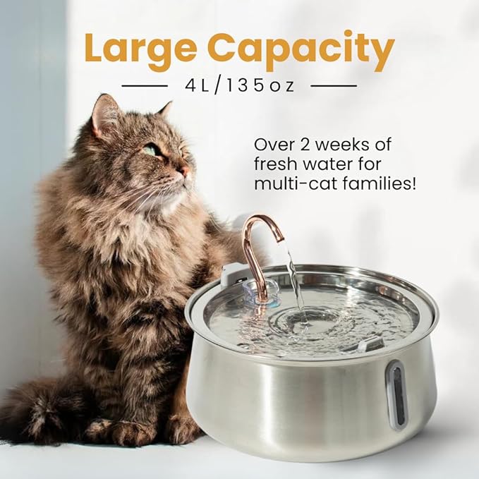 The KittySpout Stainless Steel Cat Water Fountain 2.0, 4L/135oz