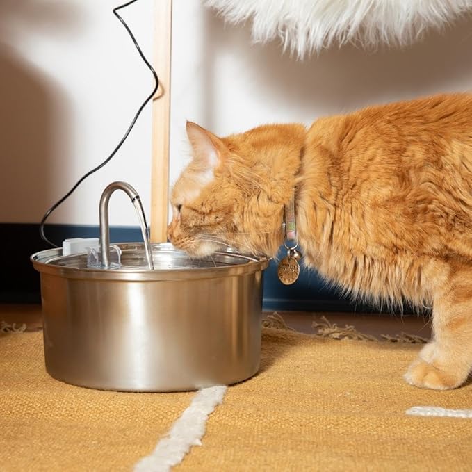 The KittySpout Stainless Steel Cat Water Fountain, 3.2L/108oz