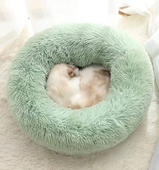 Cat Beds for Indoor Cats - Cat Bed Washable 20/24 inches, Dog Beds for Small Medium Dogs, Anti Anxiety Round Fluffy Plush Faux Fur Cat Bed, Thick Bottom (Light Green, Medium)