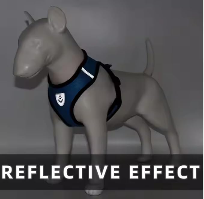 Step-in Dog, Cat, and Puppy Harness and Leash | All Weather Mesh | Reflective Harness & Leash for Small Dogs and Cats (Blue, Medium)