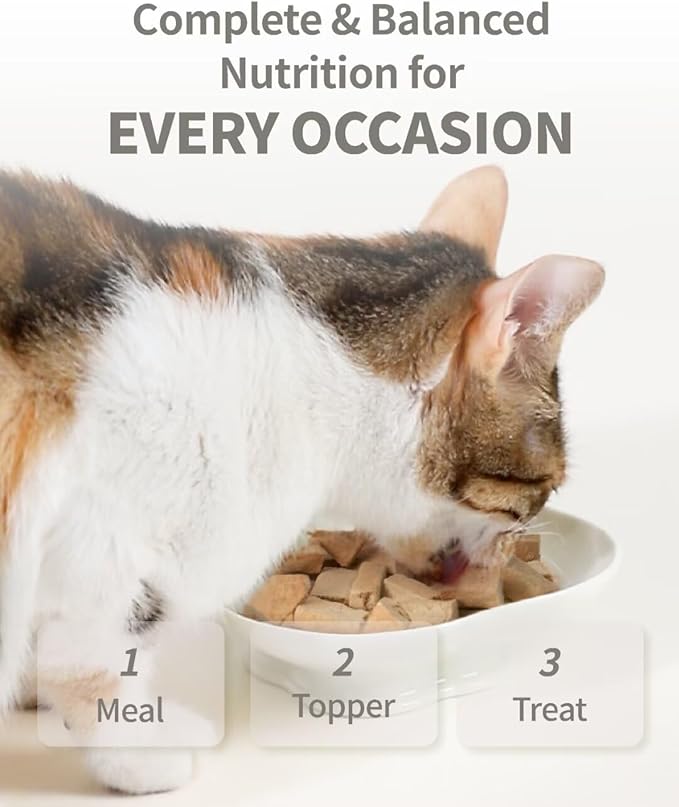Freeze-Dried Cat Food, 97% Raw Meat 60% High Protein, Grain-Free Cat Food Topper, Health Dry Cat Food (Poultry Recipe - 14 Ounce)