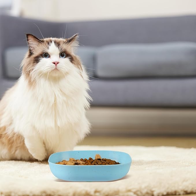 Cat Food Bowl Set, 6 inch Wide Shallow Cat Bowl for Relief Whisker Fatigue,Small Flat Cat Dish, Shallow Pet Feeding Dish or Plate for Cats and Small Dogs (4Pcs)