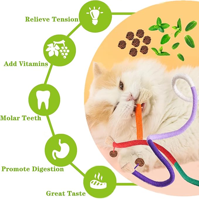 Cat Toys 21PCS Catnip Toy for Indoor Kitten Toys Cat Chew Stick for Dental Cleaning Teeth Cat Silvervine Rope Treat Kitty Feather Snack for for Kick Molar Scratch Self Play Interactive Boredom