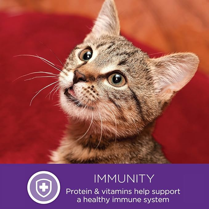 Wellness Complete Health Healthy Indulgence Gravy Adult Wet Cat Food, Natural, Protein-Rich, Grain Free, 3 Ounce Pouches, 24 Pack, (Tuna & Mackeral)