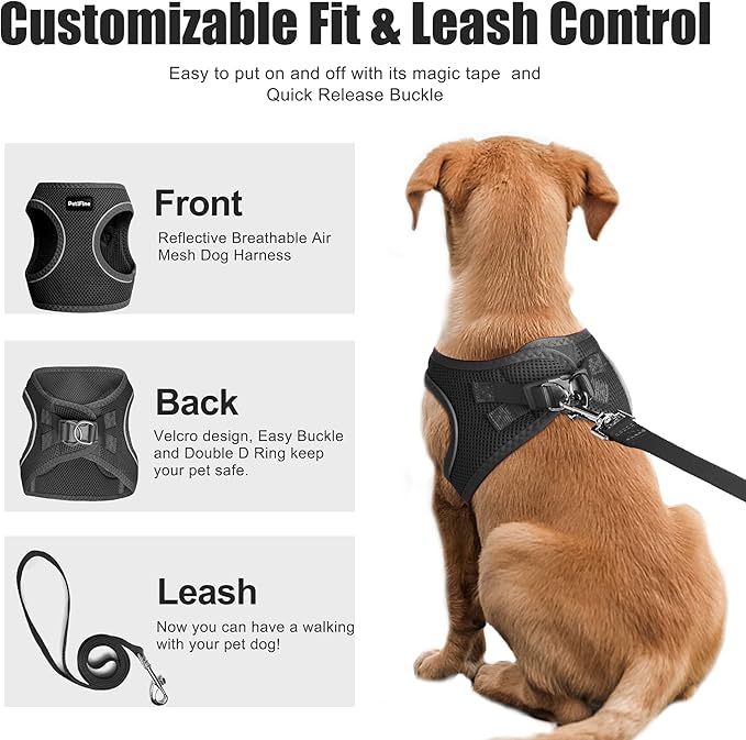 PetiFine Step in Small Dog Harness and Leash Set, Breathable All Weather Air Mesh Reflective Escape Proof, Step-in Vest Harnesses for Puppy(S, Black)