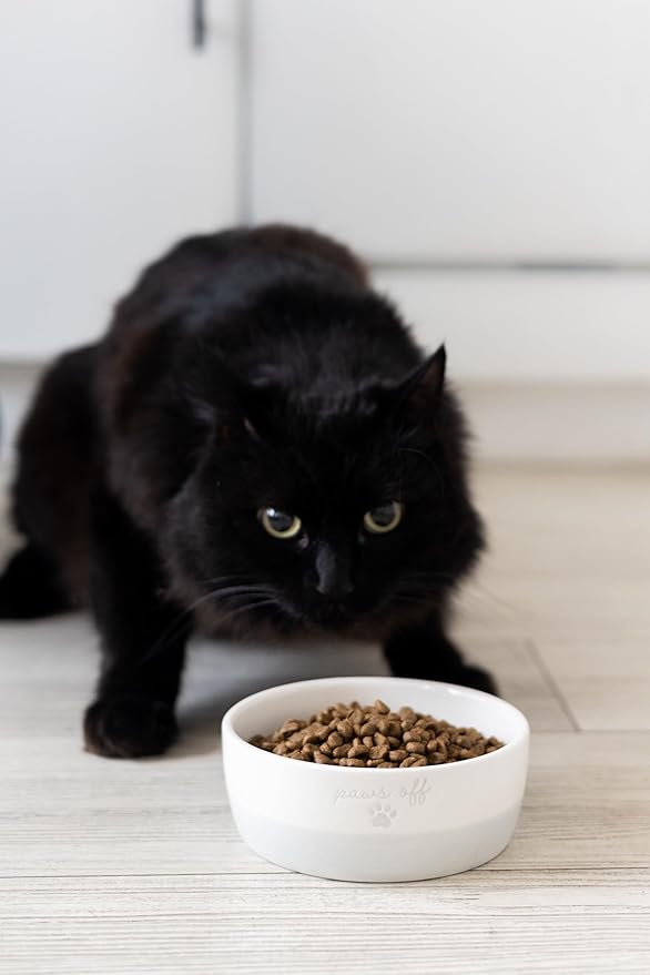 Pearhead Paws Off Ceramic Cat Bowl, Holds 1.3 Cups, Small Food and Water Bowl for Cats, Pet Dish, Microwave and Dishwasher Safe