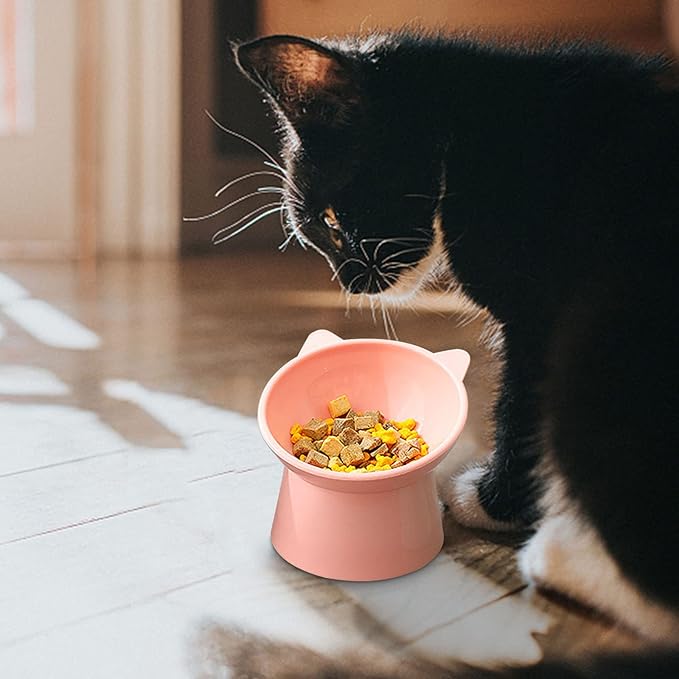 Tilted Elevated Cat Food Bowl - Whisker Friendly Anti Vomiting Slanted Cat Feeding Bowls, Shallow & Tall (Pink)