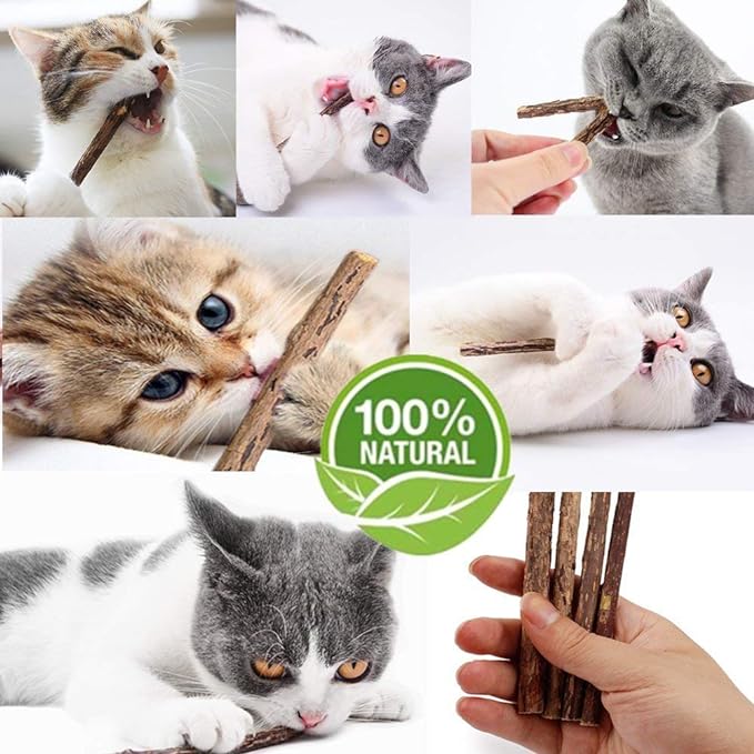 Cat Catnip Sticks Natural Matatabi Silvervine Sticks - Cleaning Teeth Molar Tools Kitten Cat Chew Toy Natural Catnip Mouse Cat Toy (20 PCS)