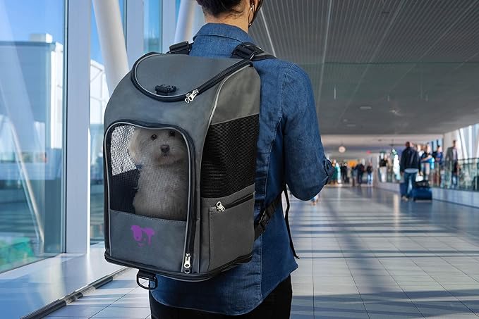 TrustyPup 2-in-1 Pet Backpack Travel Carrier, Airline Approved & Guaranteed On Board - Gray, Medium