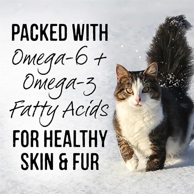 Merrick Backcountry Grain Free Gluten Free Premium High Protein Wet Cat Food, Duck Recipe Cuts With Gravy - (Pack of 24) 3 oz. Pouches