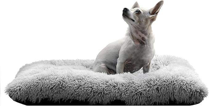 Washable Dog Cat Bed, Washable Pet Bed, Cat Beds for Indoor Cats, Dog Bed Medium Size Dog, Small Dog Bed, Comfortable Bed for Dogs and Cats (Medium 31L x 21W x 5Th inches)