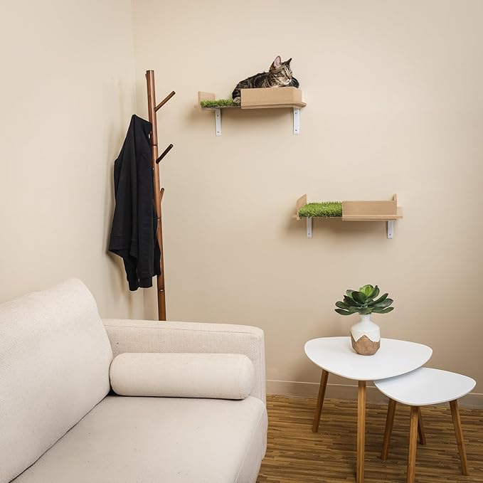 On2 Pets Cat Shelves Wall-Mounted Cat Trees Cat Furniture for Climbing, Playing and Relaxing, Set of 2, Indoor Cat Shelf Made in USA… (Zen Green, Box)
