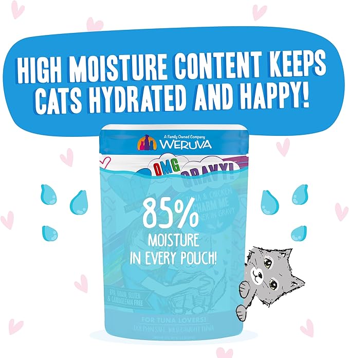 Weruva B.F.F. OMG - Best Feline Friend Oh My Gravy! Tuna & Chicken Charm Me with Tuna & Chicken in Gravy Cat Food, 3oz Pouch (Pack of 12)