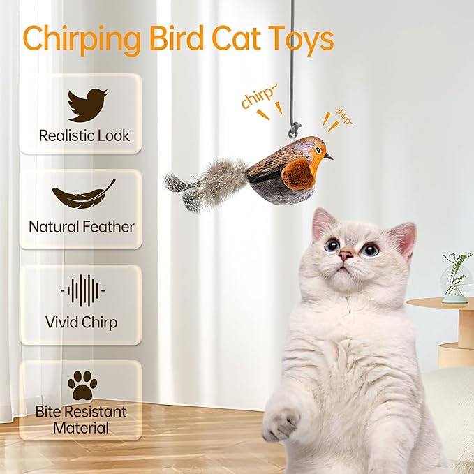 Chirping Bird Cat Toys Hanging Cat Feather Toy - Catnip Interactive Cat Toys for Indoor Cats - Automatic Cat Toy for Cat Exercise & Kicker to Self Play (Gray New)