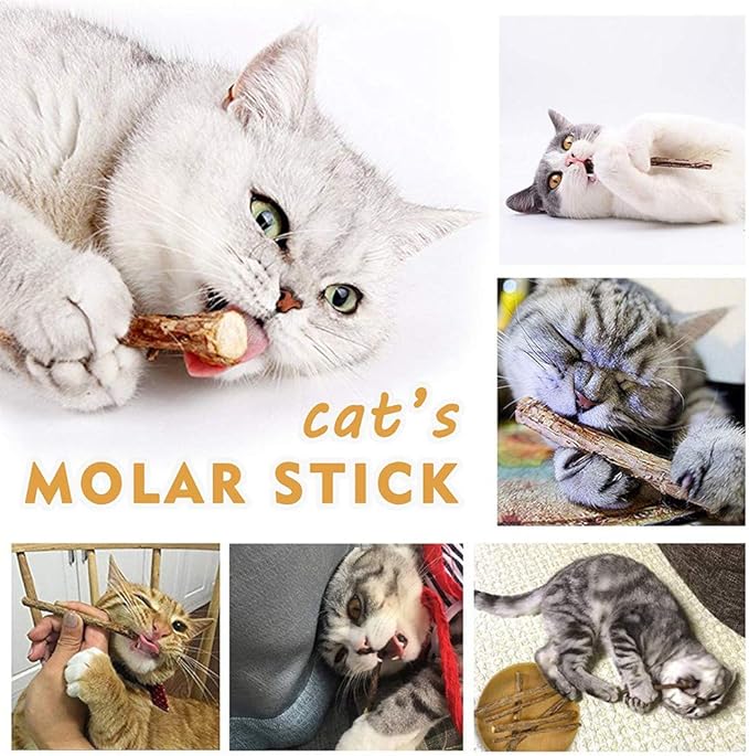 Cat Catnip Sticks Natural Matatabi Silvervine Sticks - Cleaning Teeth Molar Tools Kitten Cat Chew Toy Natural Catnip Mouse Cat Toy (20 PCS)