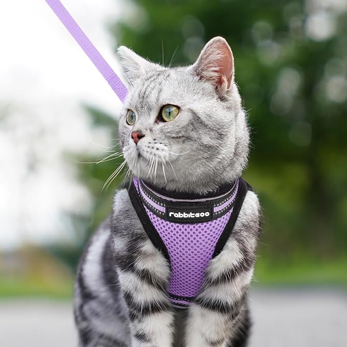 rabbitgoo Cat Harness and Leash Set for Walking Escape Proof, Adjustable Soft Kittens Vest with Reflective Strip for Cats, Comfortable Outdoor Vest, Light Purple, S