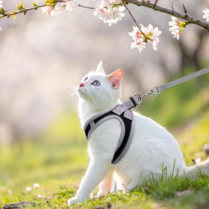 SCENEREAL Cat Harness and Leash Set Escape Proof, Adjustable Soft Air Mesh Kitten Harnesses for Girls Boys Small Medium Big Cats, Reflective Light Travel Pet Walking Vest for Puppy Rabbit, Black L