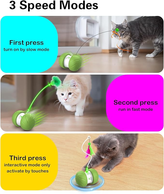 Interactive Cat Toys for Indoor Cats, Motion Activated Cat Toys, Automatic Cat Toy with Extra Long Feather Wand, Cat Mouse Toys, USB Rechargeable (Green)