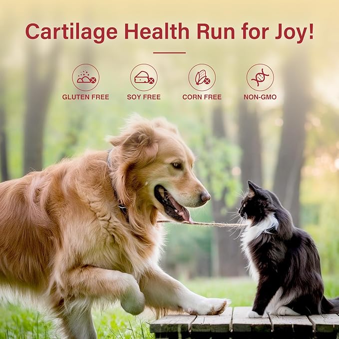 Hip & Joint Chews for Dogs – Supports Mobility & Health, Dog Arthritis Supplement, 200 Chews