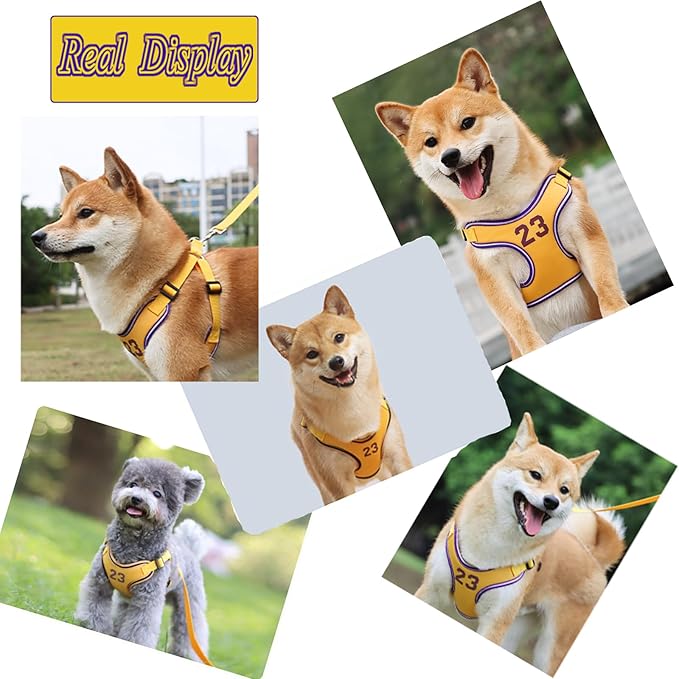 Dog Harness-Escape Proof Sporty Style Dog Harness -Adjustable Reflective Number Dogs Vest with Outdoor Pet Leash, Easy Control for Small,Medium Breeds (Yellow,XS)