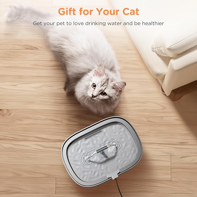 Cat Water Fountain Stainless Steel 2 Pack