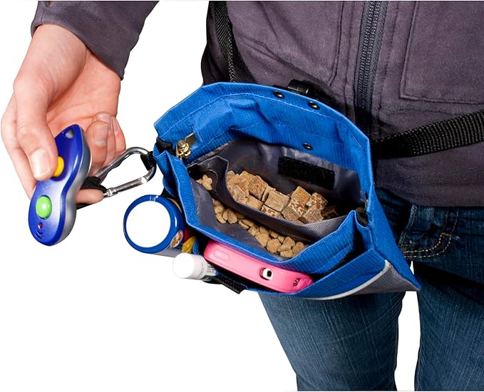 PetSafe Treat Pouch Sport- Durable, Convenient Dog Training Accessory, Standard, Black