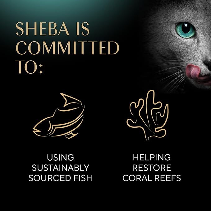 Sheba Perfect Portions Bistro Adult Wet Cat Food, Chicken in Alfredo Sauce Entree, (24) 2.6 oz. Twin-Pack Trays