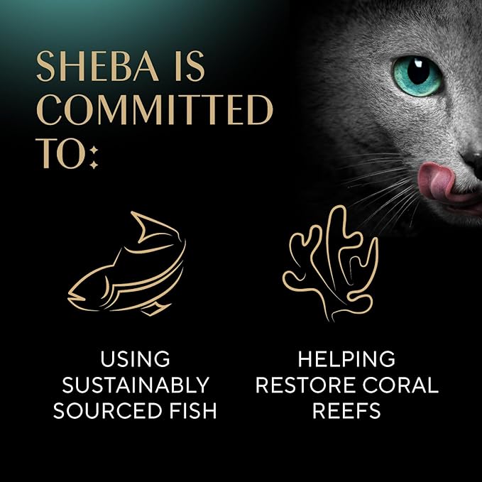 Sheba Perfect Portions Paté Wet Cat Food Trays (24 Count, 48 Servings), Gourmet Chicken and Tuna Entrée, Easy Peel Twin-Pack Trays