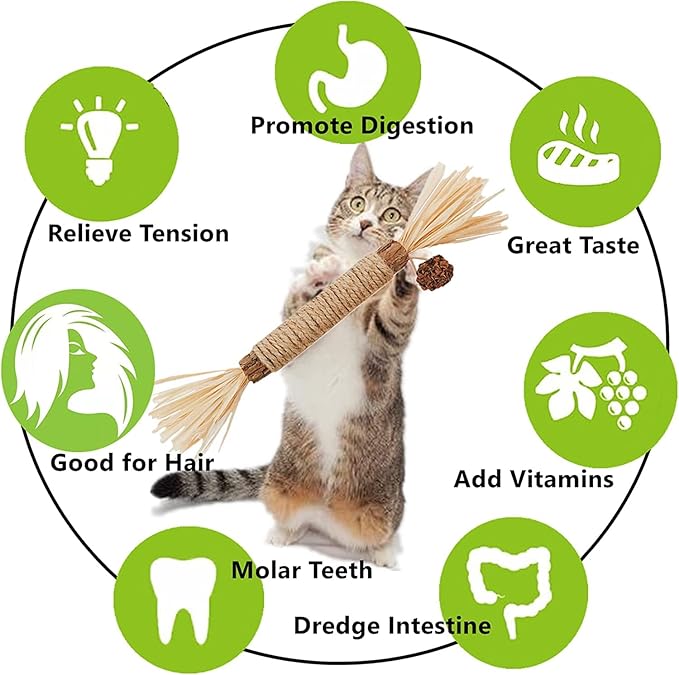 Cat Toys 12Pack Silvervine Chew Stick Kitten Treat Catnip Toy Kitty Natural Stuff Catnip for Cleaning Teeth Indoor Dental Snack Interactive