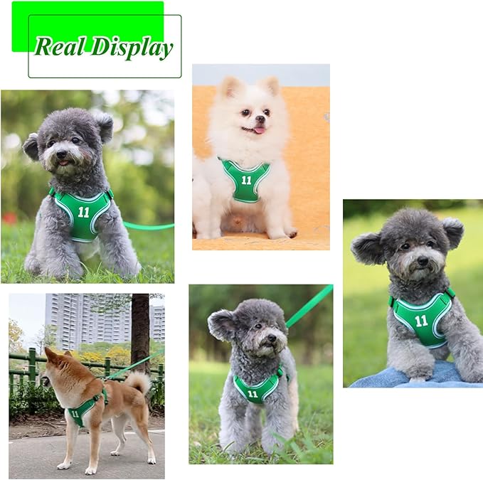 Dog Vest Harnesses Sporty Classic Basketball Style Dog Harness Breathable Adjustable Pet Harness with Handle for Outdoor Walking,Easy Control for Small,Medium Breeds (Green,M)