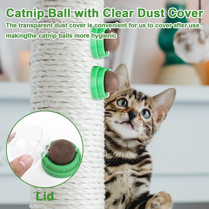 CCINEE 3PCS Catnip Balls for Cats Wall Catnip Toys Edible Cat Toys for Cat Lick Safe Healthy Kitten Chew Toys Teeth Cleaning Dental Cat Toys