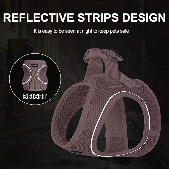 PetiFine Step in Small Dog Harness and Leash Set, Breathable All Weather Air Mesh Reflective Escape Proof, Step-in Vest Harnesses for Puppy(S, Pink)